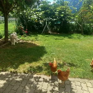 Casa Sergio Casa vacanze Grosio